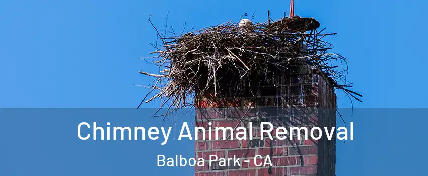 Chimney Animal Removal Balboa Park - CA