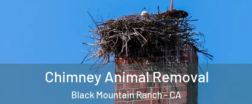 Chimney Animal Removal Black Mountain Ranch - CA