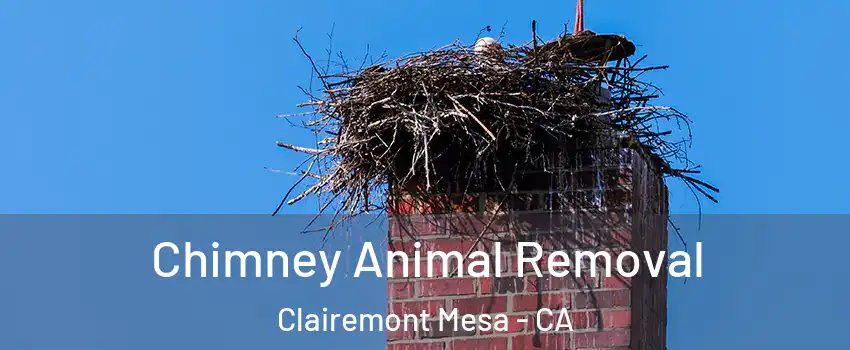 Chimney Animal Removal Clairemont Mesa - CA