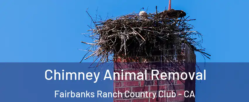 Chimney Animal Removal Fairbanks Ranch Country Club - CA