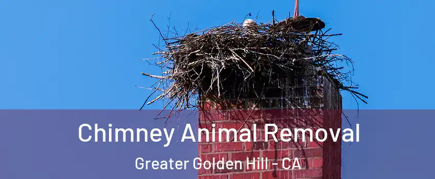 Chimney Animal Removal Greater Golden Hill - CA