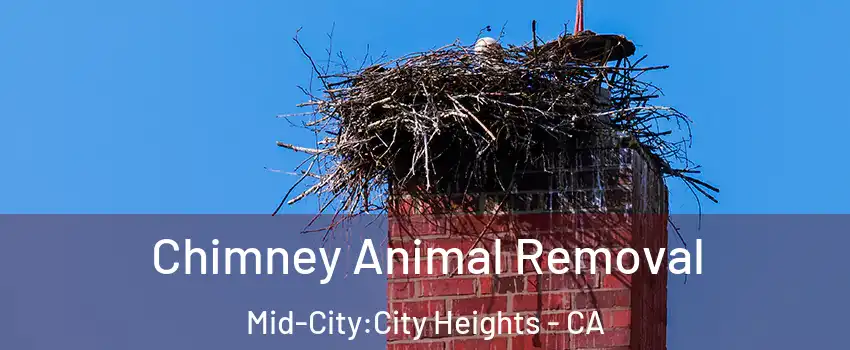 Chimney Animal Removal Mid-City:City Heights - CA