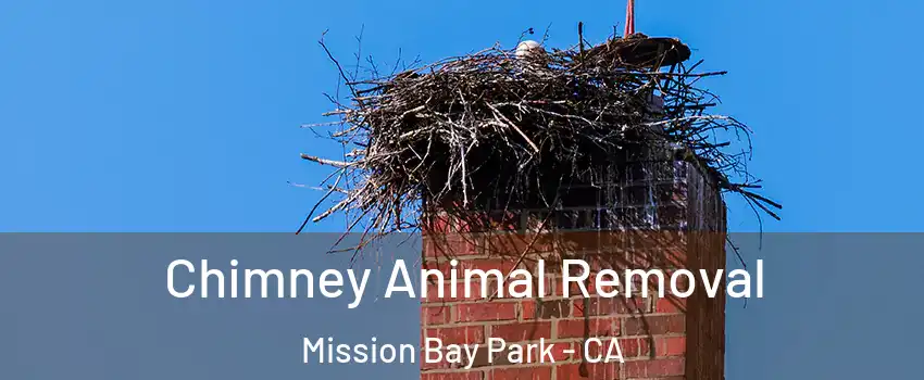 Chimney Animal Removal Mission Bay Park - CA