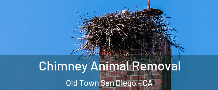 Chimney Animal Removal Old Town San Diego - CA