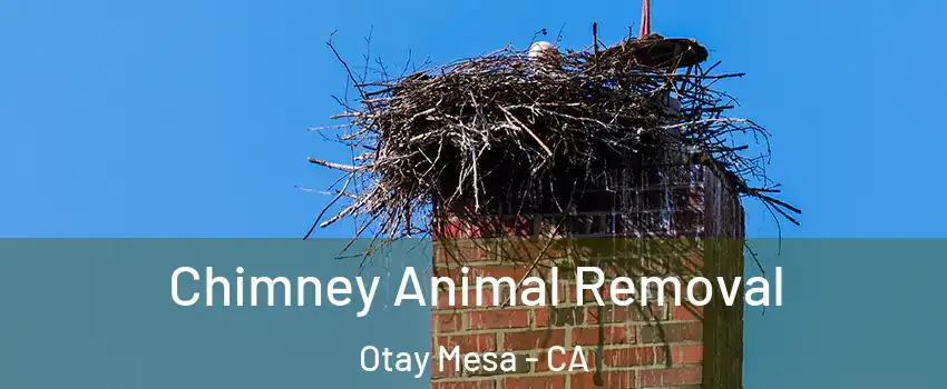 Chimney Animal Removal Otay Mesa - CA