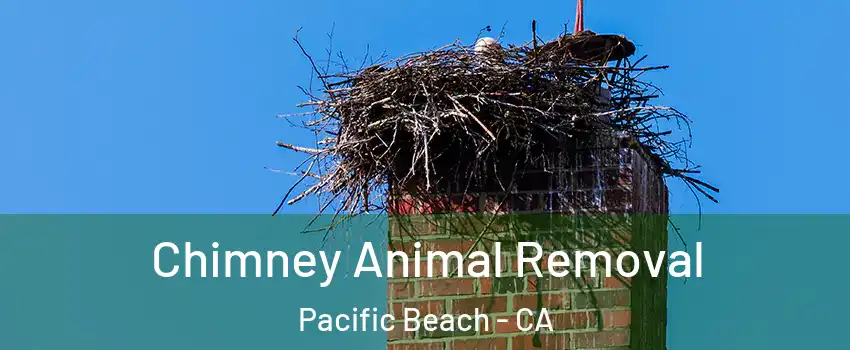 Chimney Animal Removal Pacific Beach - CA