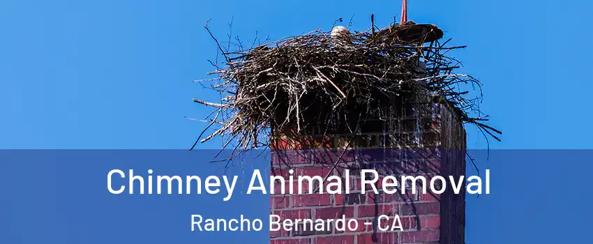 Chimney Animal Removal Rancho Bernardo - CA