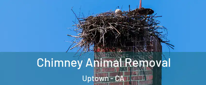 Chimney Animal Removal Uptown - CA