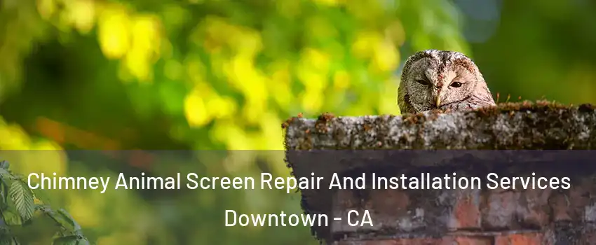 Chimney Animal Screen Repair And Installation Services Downtown - CA