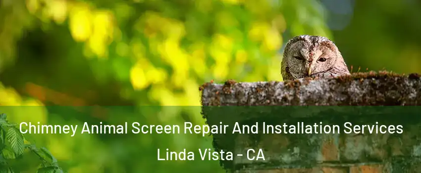 Chimney Animal Screen Repair And Installation Services Linda Vista - CA