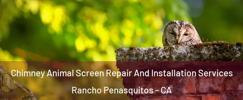 Chimney Animal Screen Repair And Installation Services Rancho Penasquitos - CA