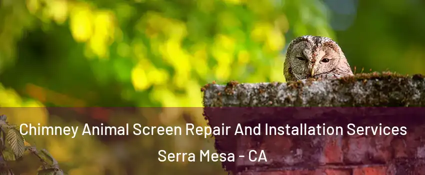 Chimney Animal Screen Repair And Installation Services Serra Mesa - CA