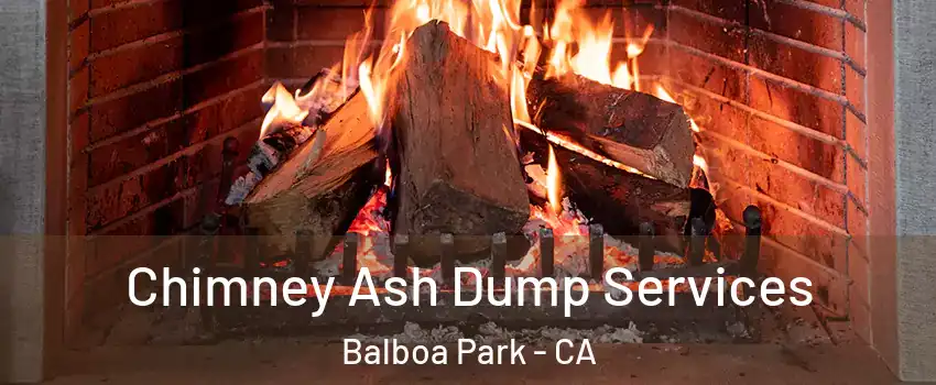 Chimney Ash Dump Services Balboa Park - CA