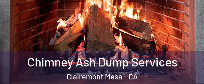 Chimney Ash Dump Services Clairemont Mesa - CA