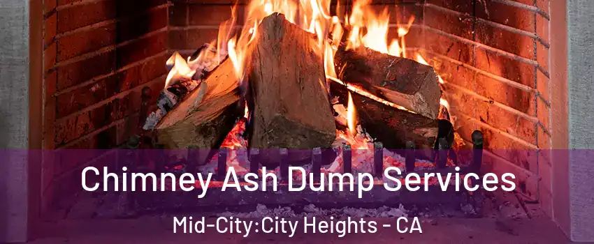 Chimney Ash Dump Services Mid-City:City Heights - CA