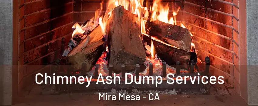 Chimney Ash Dump Services Mira Mesa - CA