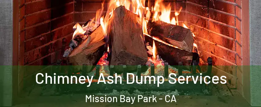 Chimney Ash Dump Services Mission Bay Park - CA