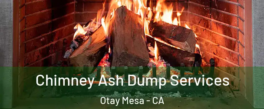 Chimney Ash Dump Services Otay Mesa - CA