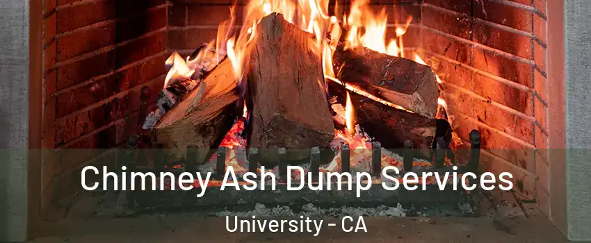 Chimney Ash Dump Services University - CA