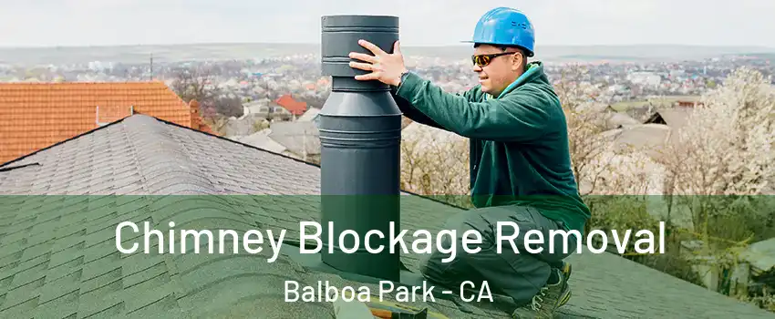 Chimney Blockage Removal Balboa Park - CA