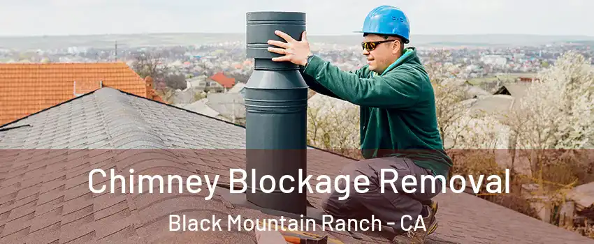 Chimney Blockage Removal Black Mountain Ranch - CA