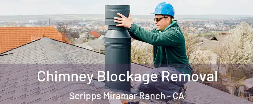 Chimney Blockage Removal Scripps Miramar Ranch - CA