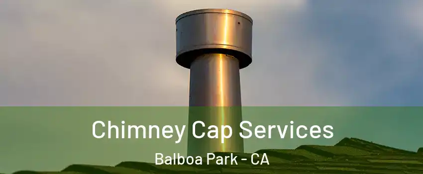 Chimney Cap Services Balboa Park - CA