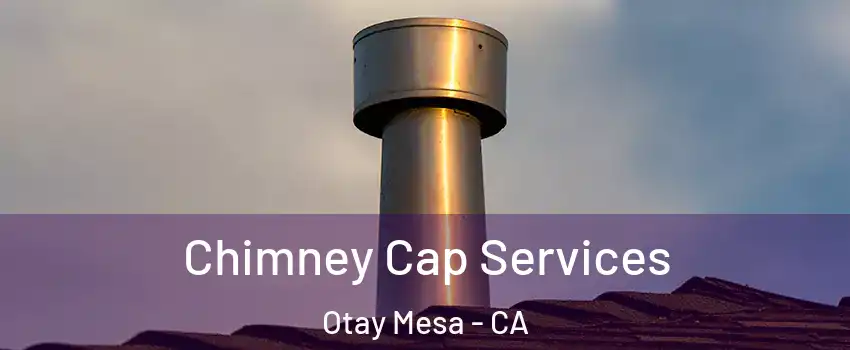 Chimney Cap Services Otay Mesa - CA