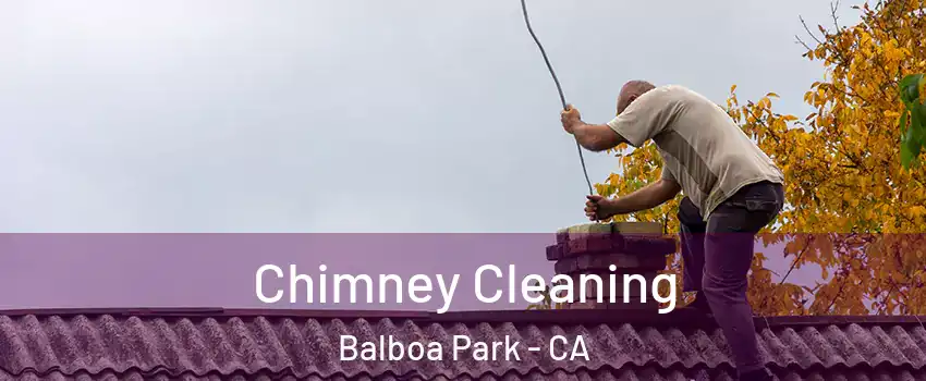 Chimney Cleaning Balboa Park - CA