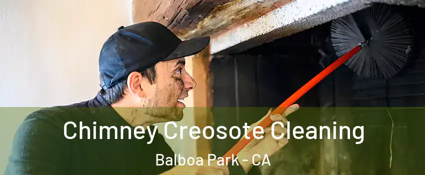 Chimney Creosote Cleaning Balboa Park - CA