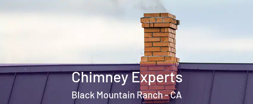 Chimney Experts Black Mountain Ranch - CA