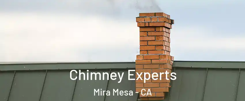 Chimney Experts Mira Mesa - CA