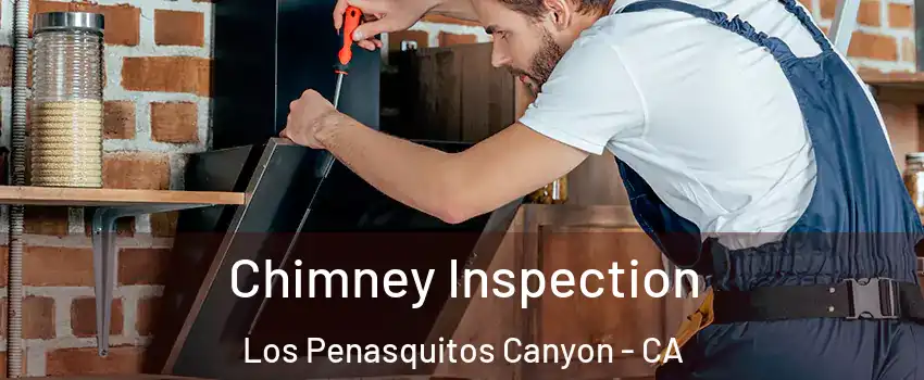 Chimney Inspection Los Penasquitos Canyon - CA