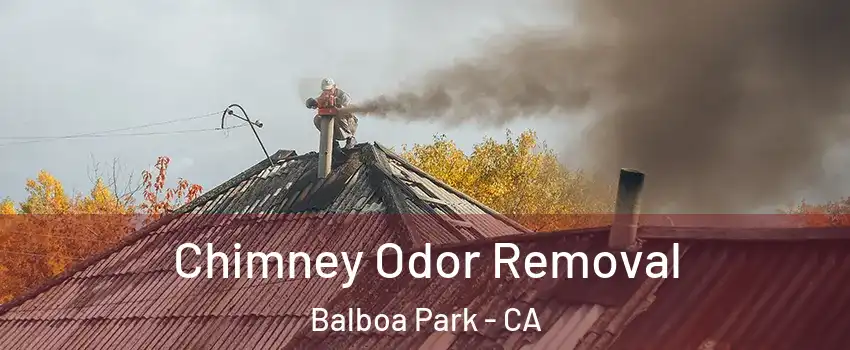 Chimney Odor Removal Balboa Park - CA