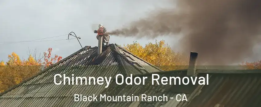 Chimney Odor Removal Black Mountain Ranch - CA