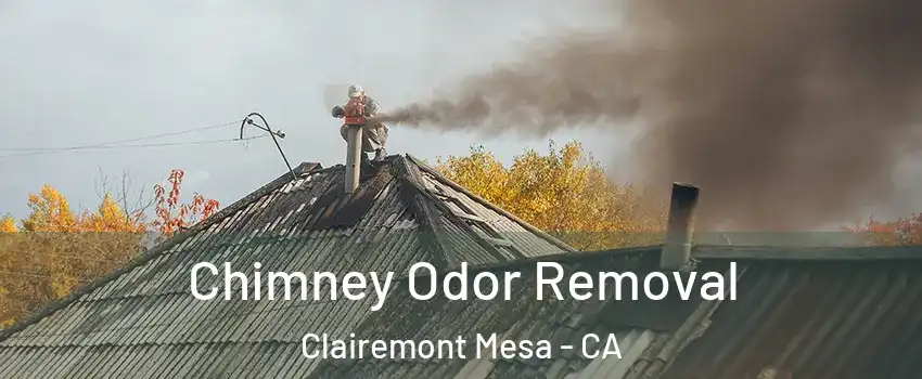 Chimney Odor Removal Clairemont Mesa - CA