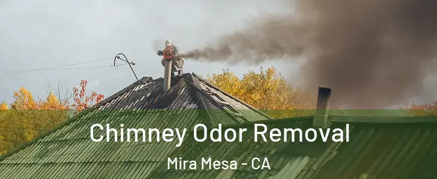 Chimney Odor Removal Mira Mesa - CA