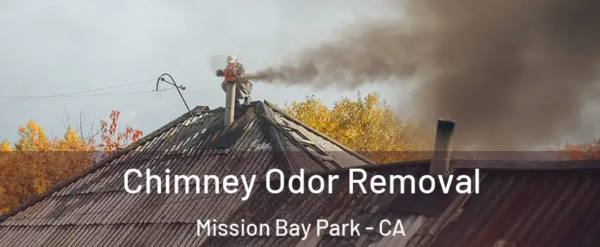 Chimney Odor Removal Mission Bay Park - CA