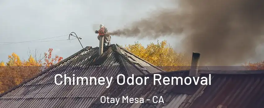 Chimney Odor Removal Otay Mesa - CA