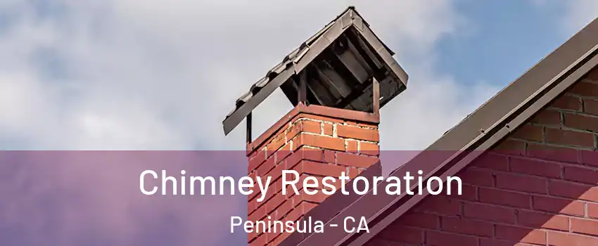 Chimney Restoration Peninsula - CA