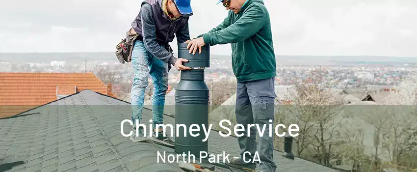 Chimney Service North Park - CA