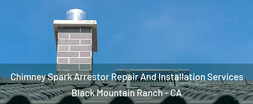 Chimney Spark Arrestor Repair And Installation Services Black Mountain Ranch - CA