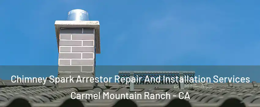 Chimney Spark Arrestor Repair And Installation Services Carmel Mountain Ranch - CA