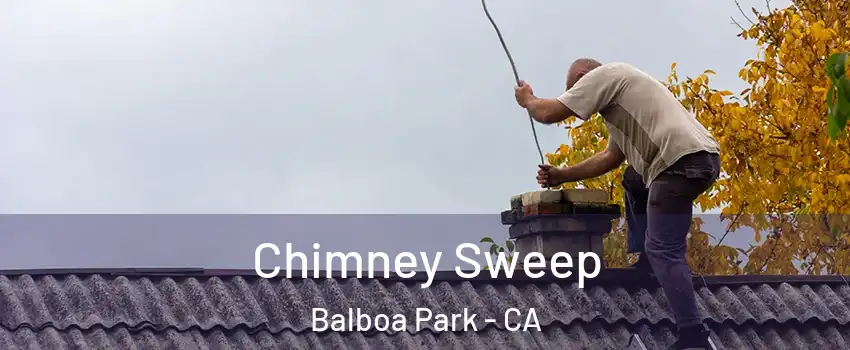 Chimney Sweep Balboa Park - CA