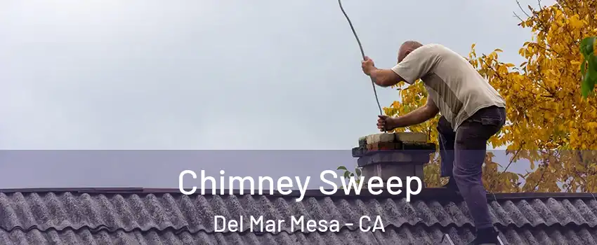 Chimney Sweep Del Mar Mesa - CA