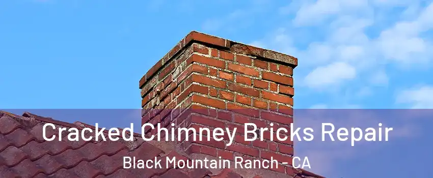 Cracked Chimney Bricks Repair Black Mountain Ranch - CA