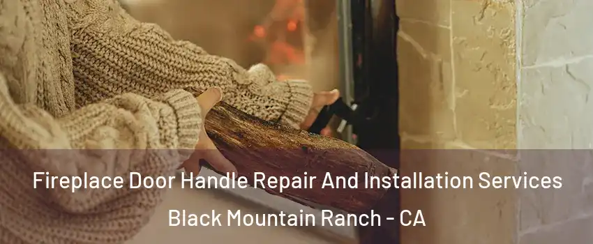 Fireplace Door Handle Repair And Installation Services Black Mountain Ranch - CA