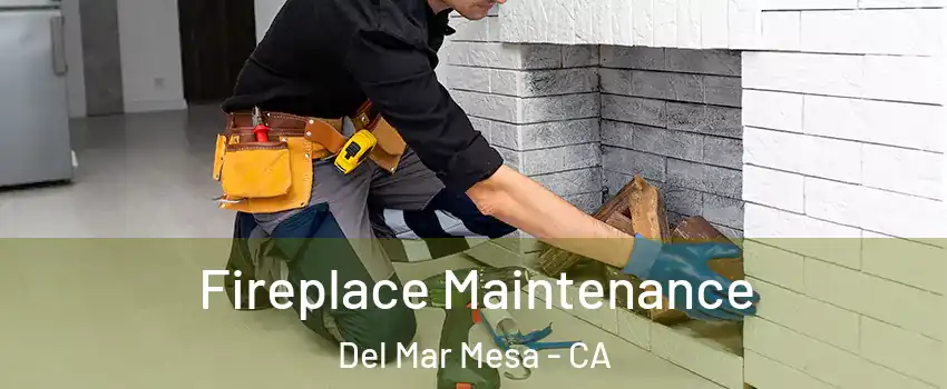 Fireplace Maintenance Del Mar Mesa - CA