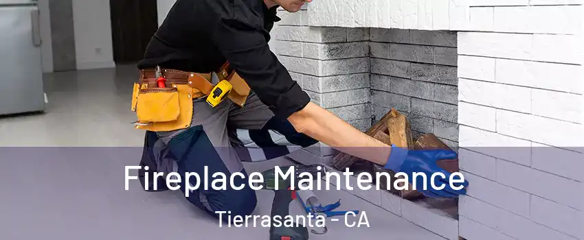 Fireplace Maintenance Tierrasanta - CA