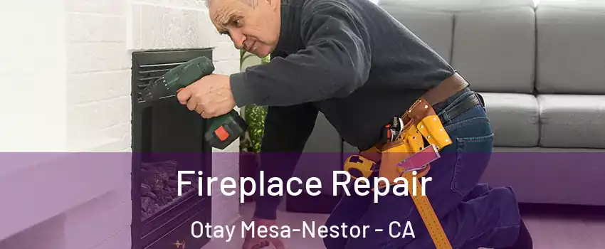 Fireplace Repair Otay Mesa-Nestor - CA